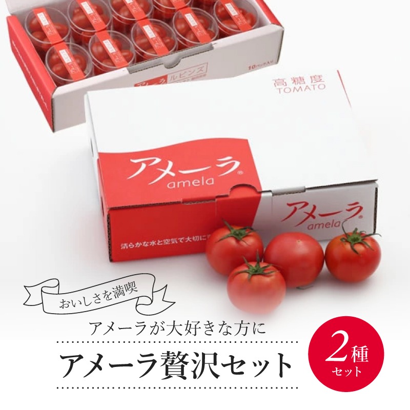 フルーツトマト　アメーラトマト2箱セット トマトアメーラ トマト ミニトマト 10パック セット 先行予約