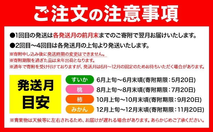 発送月固定定期便】フルーツセット 果物セット(すいか 桃 ひらた