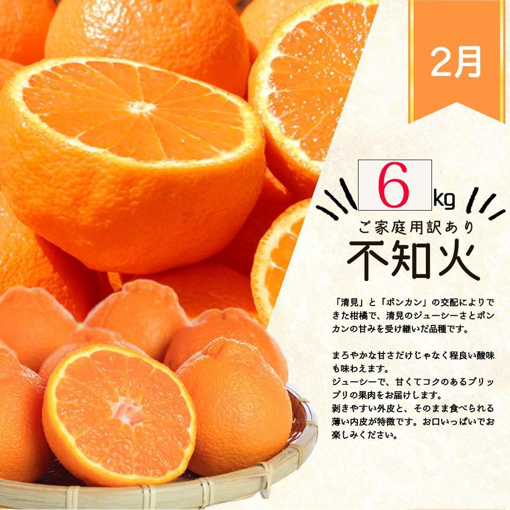 柑橘４点セット 1・2・3・4月 全4回 定期便】紀州和歌山産旬のご家庭用柑橘セット