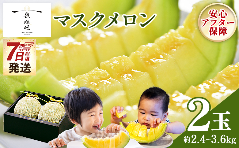 メロン 【7日程度で発送】一果相伝マスクメロン 2玉入り - 最短配送