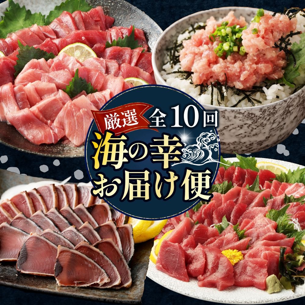 定期便全10回】 タカシン水産厳選 高知の海鮮セット 定期便 贅沢 福袋