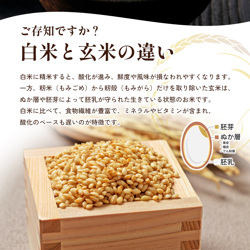 令和8年産 新米「コシヒカリ」30kg（玄米）お米 30kg （香川県東かがわ