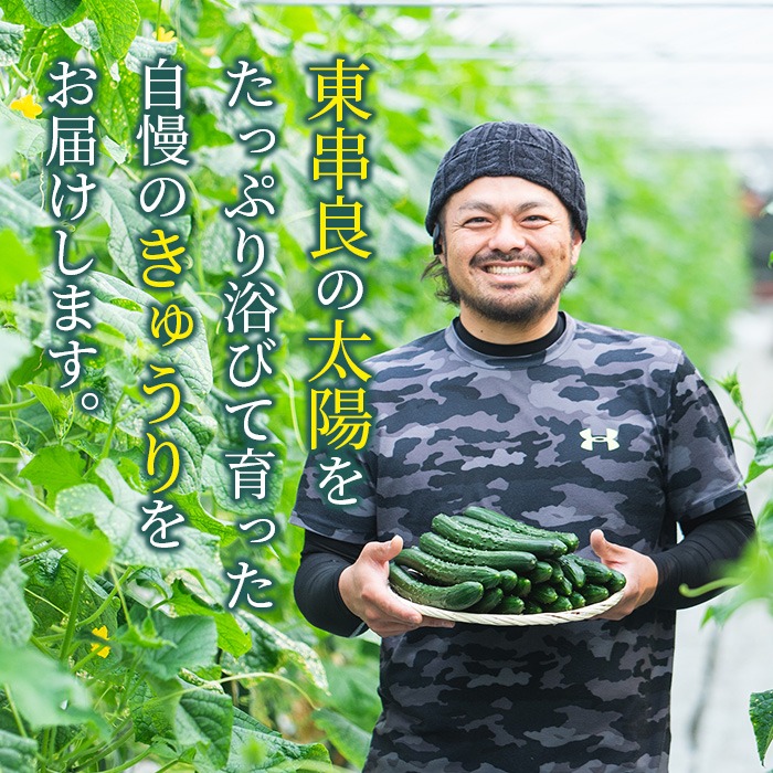 農家直送　ミニきゅうり パリパリ！おやつ・おつまみに最適ミニきゅうり 5kg【FGAP取得