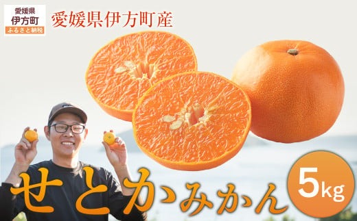 先行予約】せとか5kg ※離島への配送不可 （2027年2月10日より順次発送