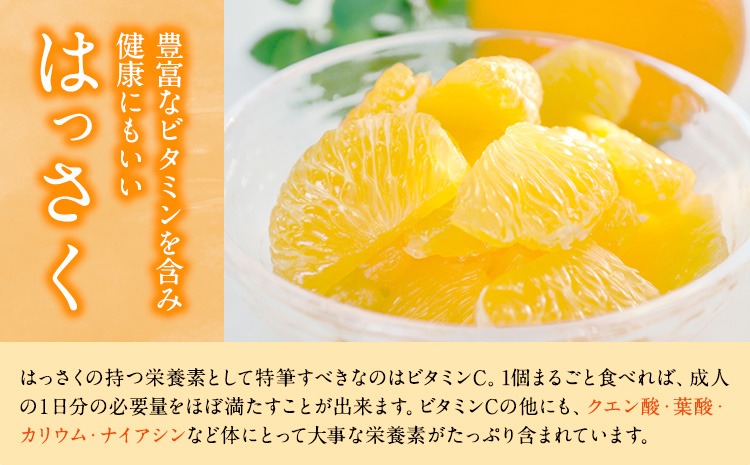 八朔 手剥き八朔缶詰(ミックス)450g×8本入 JAわかやま 紀の里地域本部 《90