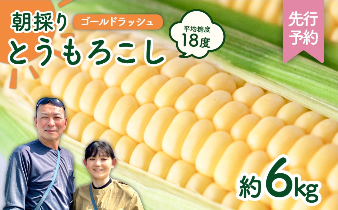 るんちゃん専用ゴールドラッシュとうもろこし入るだけ６月発送予定 GOLD RUSH とうもろこし ゴールドラッシュ M〜2L混合 20本入り