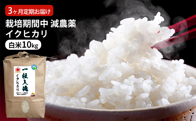 栽培期間中 減農薬イクヒカリ 白米10kg 3ヶ月定期お届け お米ブランド