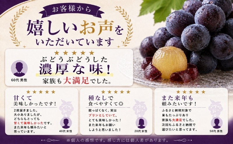 FB002【2027年 先行予約】山梨県産 種なしピオーネ2～3房(約1.0Kg