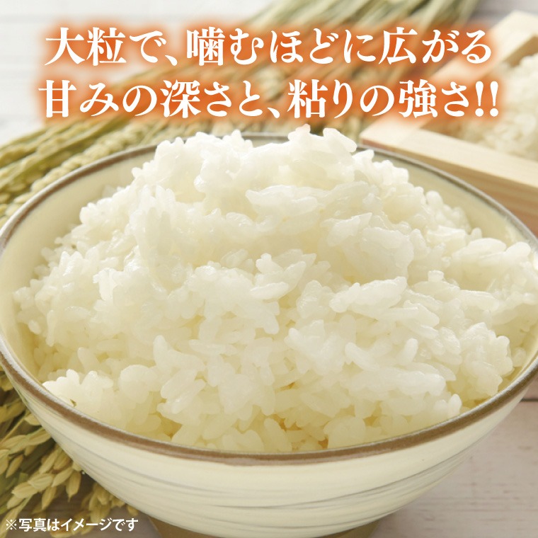 ☆新米 令和8年☆ 米 5kg 白米 「ゆうだい21」・12月発送 ＼先行予約