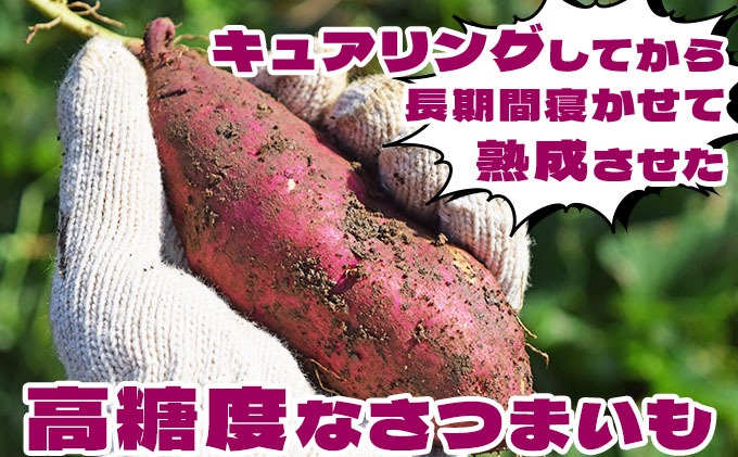 先行予約＞《高糖度》さつまいも 紅はるか 15kg｜産地直送 熟成