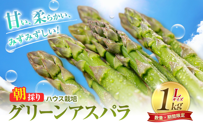 2027年春発送 ふらの産 グリーンアスパラ1kg［Lサイズ］ハウス栽培