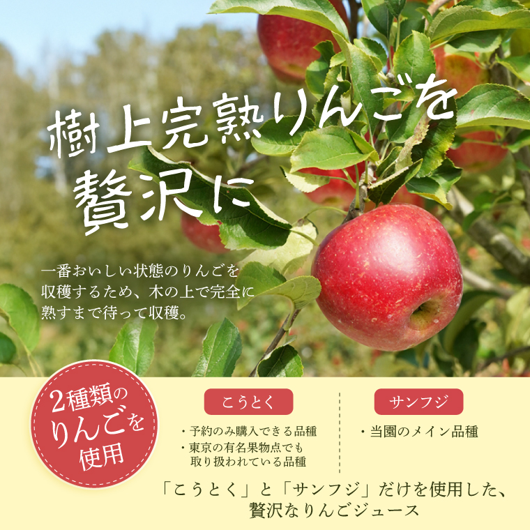 樹上完熟 奥久慈りんごジュース 500ml×2本セット【三村観光りんご園