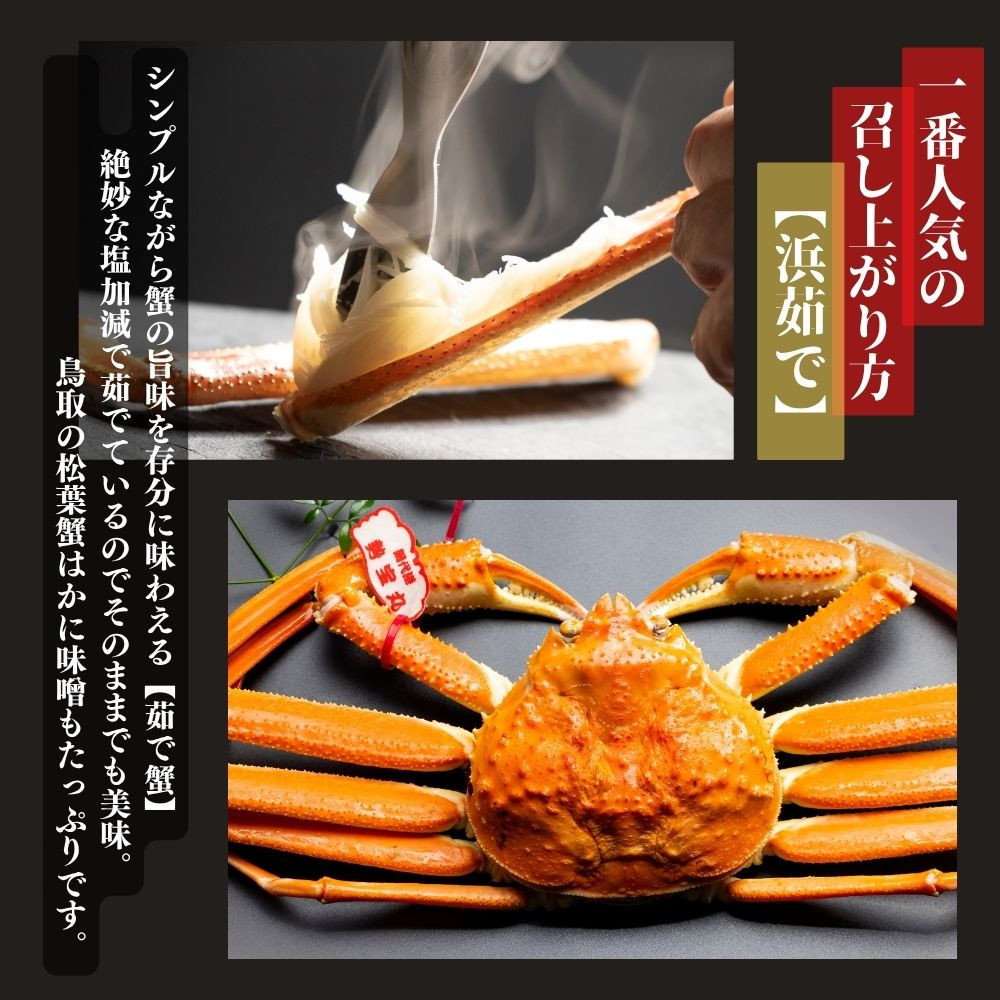 特選】松葉ガニ 大サイズ 約700g～800g タグ付(茹で) 312011_EG002