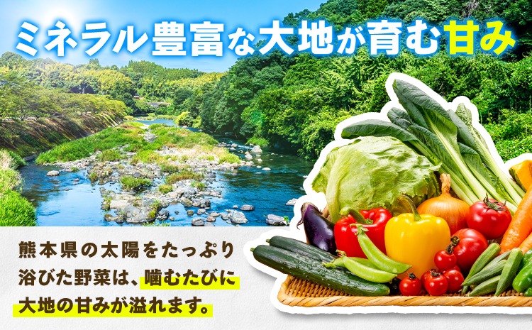 旬の野菜・果物詰め合わせセット 8-12品 氷川町産 道の駅竜北《30日