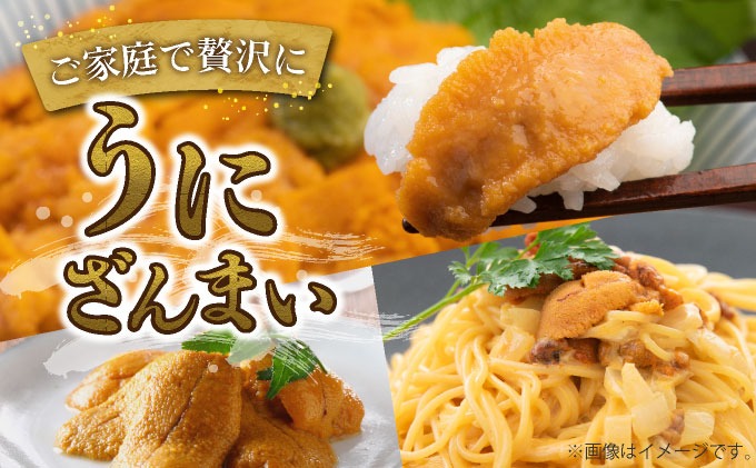 先行予約＞ 北海道産 ムラサキウニ（訳あり）600g【ogm-044】生うに