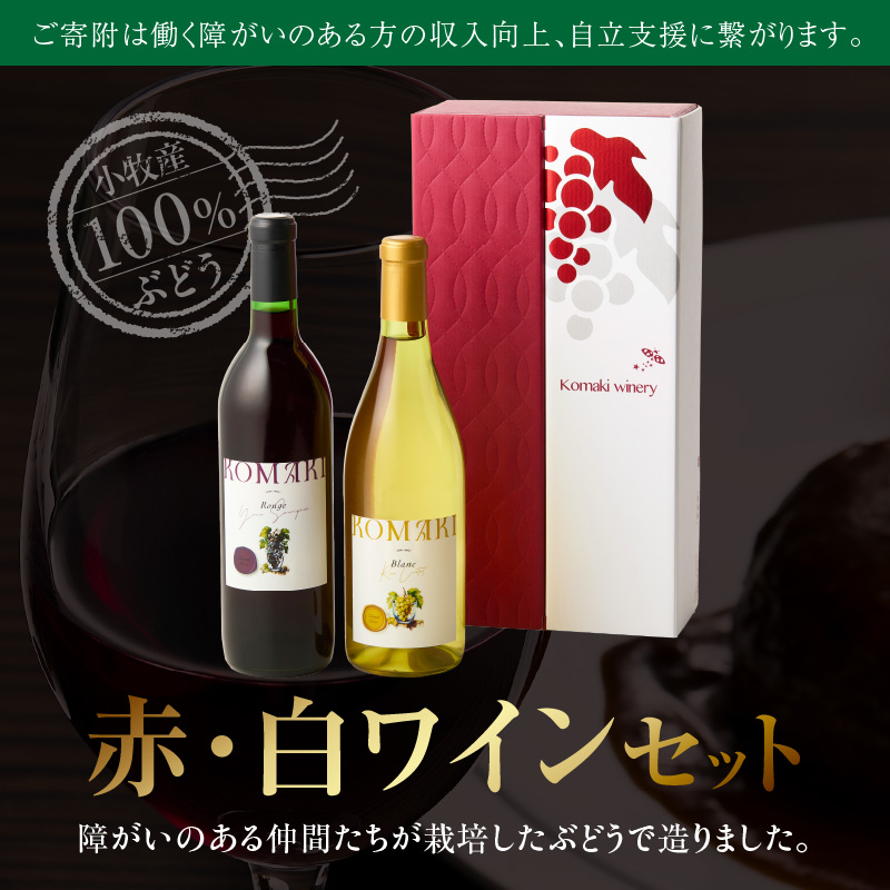 小牧ワイナリー 赤・白ワイン2本セット（小牧産ぶどう100％使用