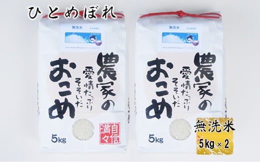 ひとめぼれ 無洗米 10kg（5kg x 2個入れ） 【1815】（岩手県花巻市