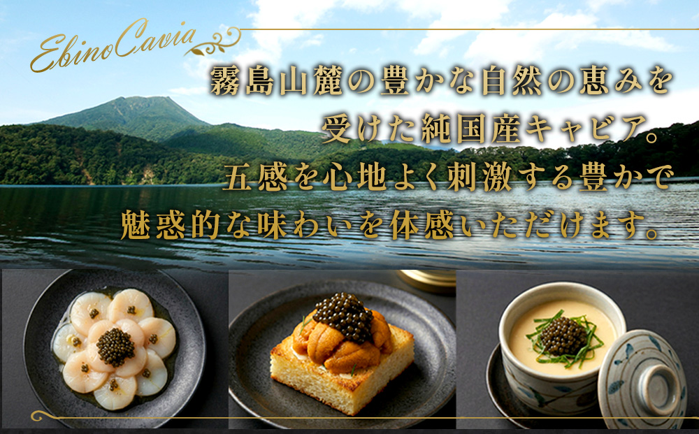 ふるさと納税】キャビア 国産 40g 冷凍 宮崎県 えびの市産（宮崎県
