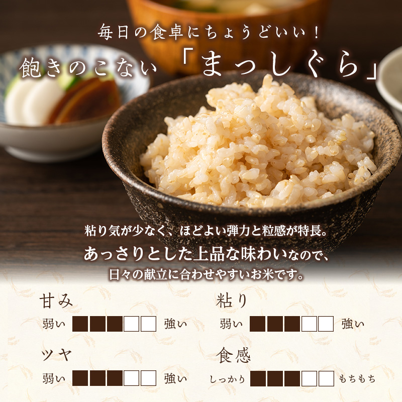 令和7年産 まっしぐら 玄米 30kg [H.GREENWORK] 青森県 鯵ヶ沢産 / お