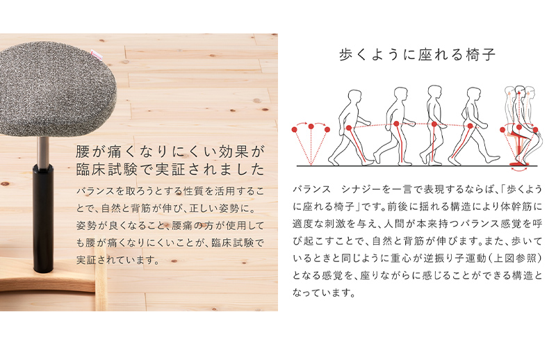 椅子 バランス シナジー カバー付き 選べる シート カラー 腰痛対策
