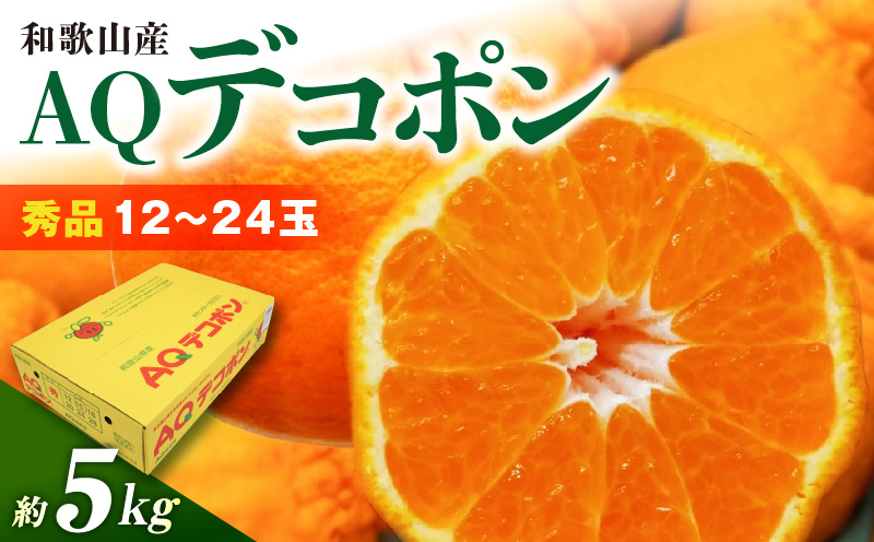 DN6012n_和歌山県産 AQ デコポン 5kg 秀品 (12～24玉)（和歌山県有田郡