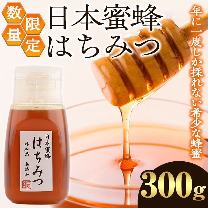 日本蜜蜂はちみつ　550g 3本 数量限定！日本蜜蜂 はちみつ(300g) 国産 蜂蜜 ハチミツ 日本ミツバチ