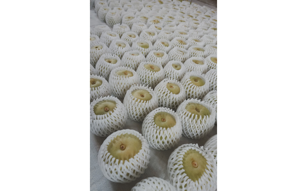 2026年8月下旬より発送】三ツ田農園 二十世紀梨 (青秀)自家用3kg