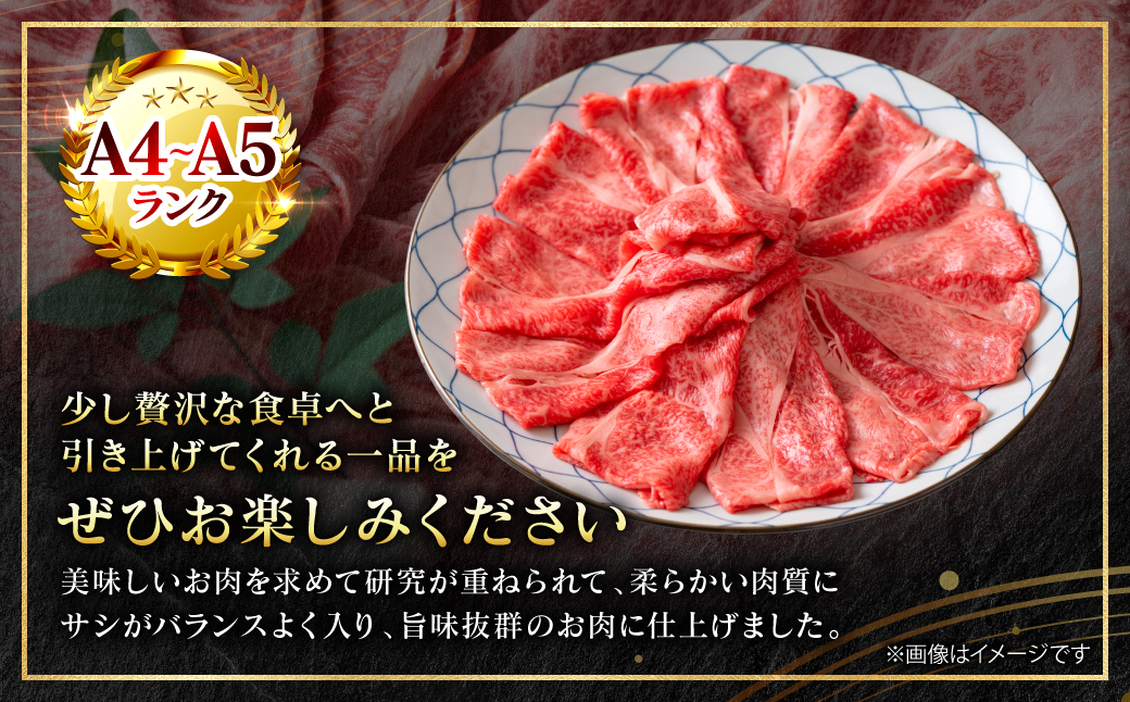 A4～A5ランク】 【厳選部位】 くまもと黒毛和牛 サーロイン