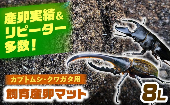カブトムシ クワガタ 幼虫飼育産卵マット 愛西市 / 艶麗[AEDD005