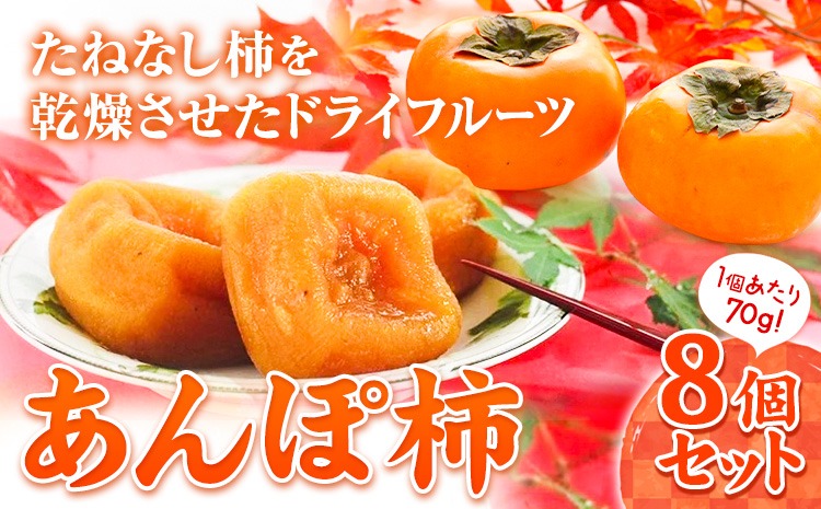 和歌山県産 あんぽ柿 70g×8個セット 紀の川市厳選館 《90日以内に出荷