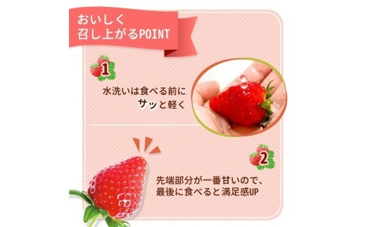 数量限定》紅白セット（とちあいか・ミルキーベリー） 270g×2パック