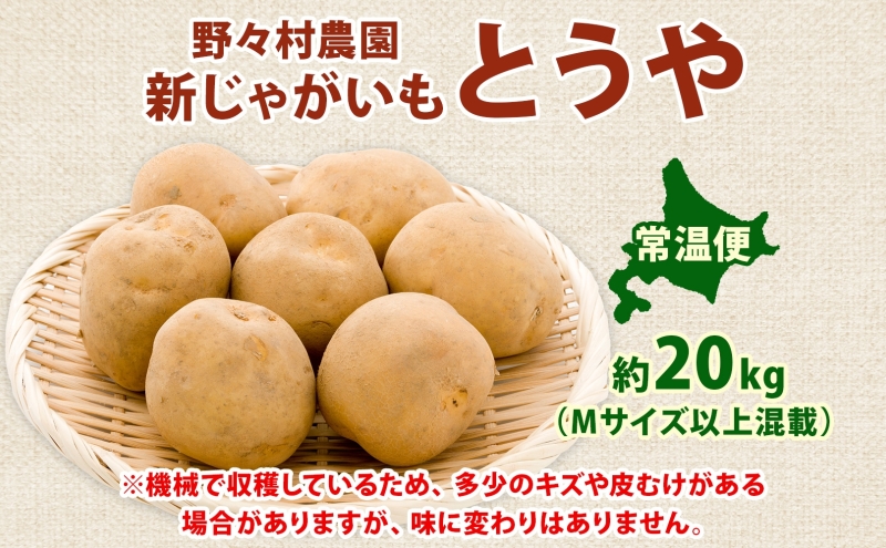 北海道 洞爺湖町産 新じゃがいも とうや 約20kg Mサイズ以上混載 2026