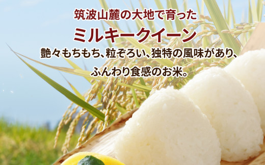 先行予約】【定期便 3ヶ月】令和8年産 茨城県産 ミルキークイーン 精米