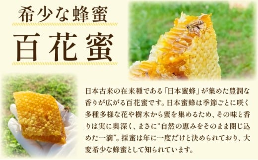 内容量が選べる】日本蜜蜂の純粋はちみつ 500g～600g または 日本蜜蜂