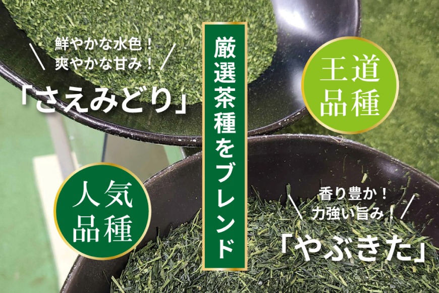お茶 ティーバッグ 特撰 みやざき煎茶 10袋 セット [谷岩茶舗 宮崎県