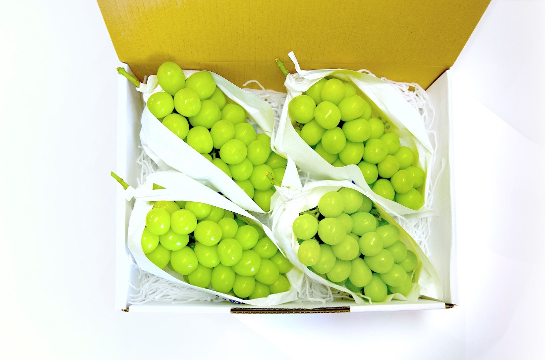 【夏季限定】No.61 4kg　シャインマスカット　摘みたて　産地直送　山梨県 2af168f7-3ca5-4eaf-86b5-