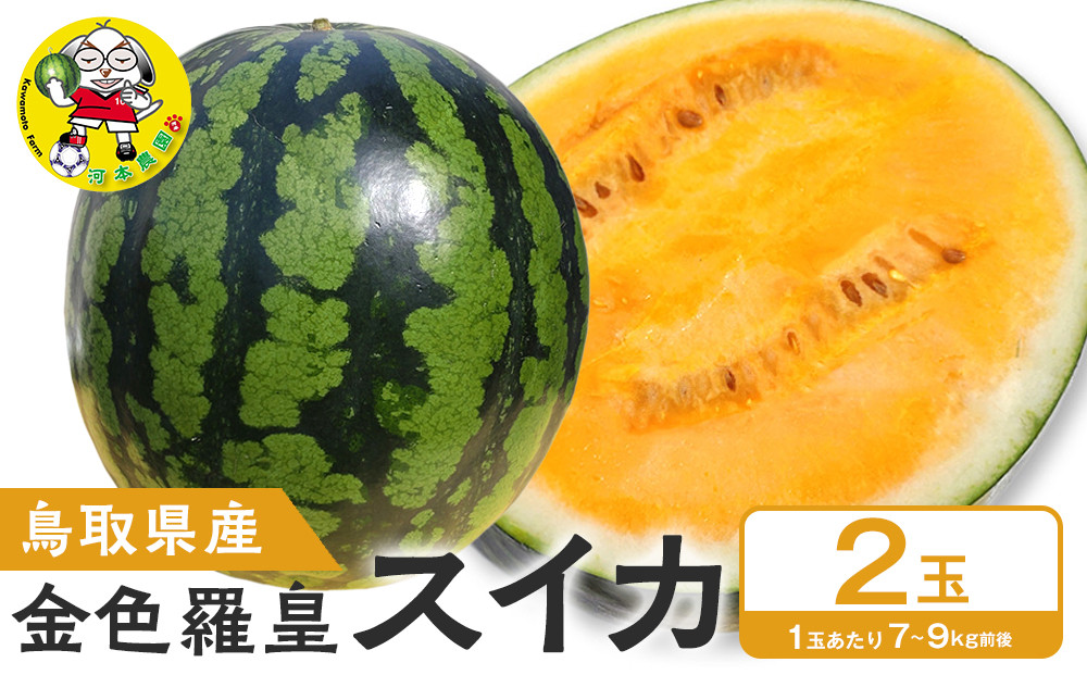 先行予約】鳥取県北栄町産 金色羅皇スイカ(2玉セット)1玉あたり7-9