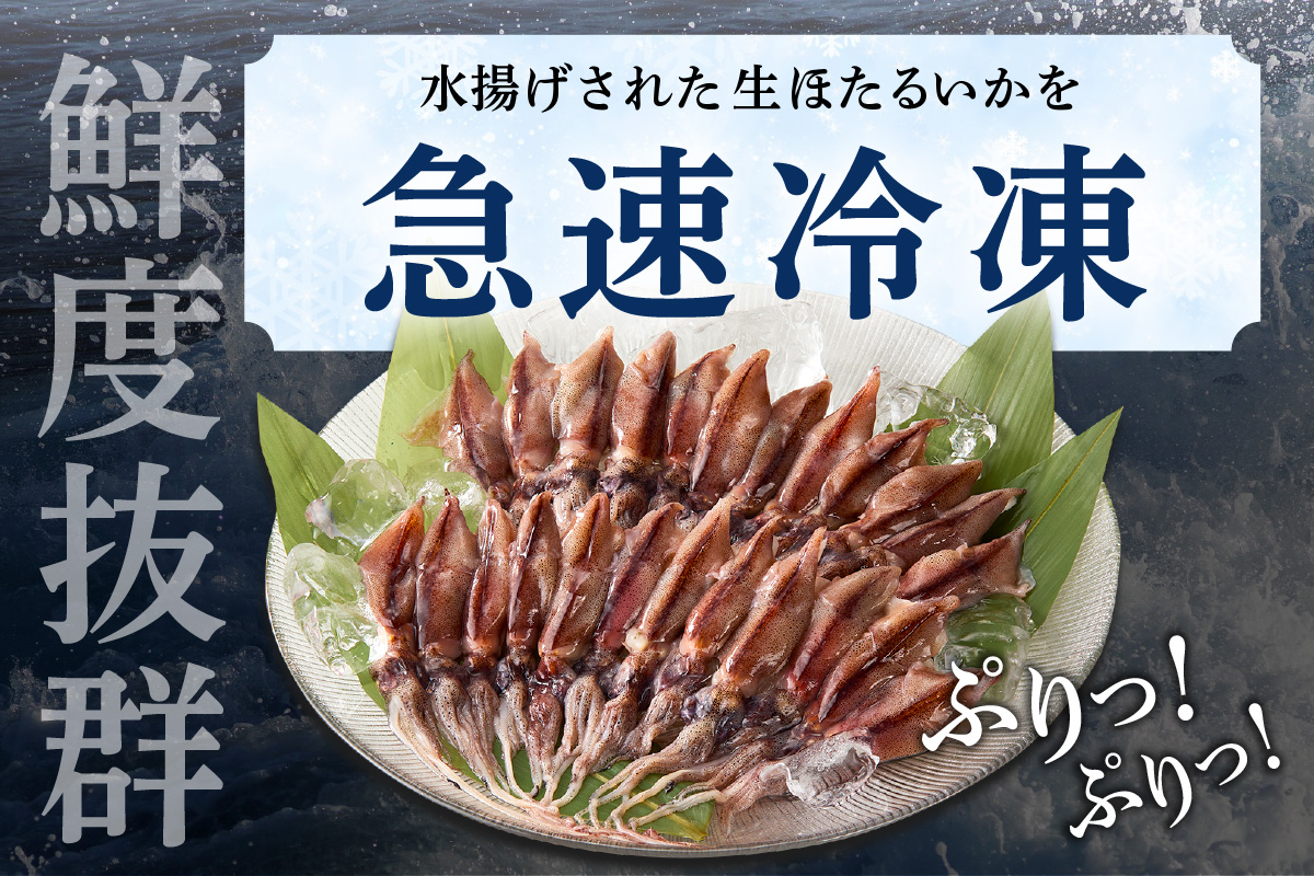 ホタルイカゆで美　美品　ロスリール アニマス プラチナ 7/8 未使用品 訳あり 生 ほたるいか ホタルイカ 小分け 便利 250g×6パック 1.5kg