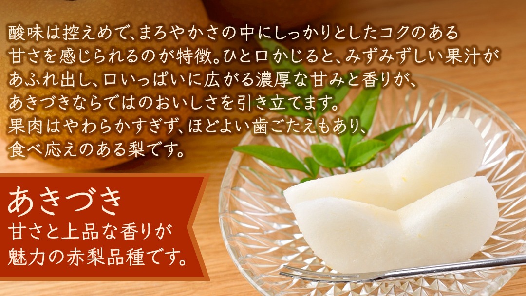 訳あり ＞ あきづき 約5kg 【2026年10月より発送開始】（茨城県共通返