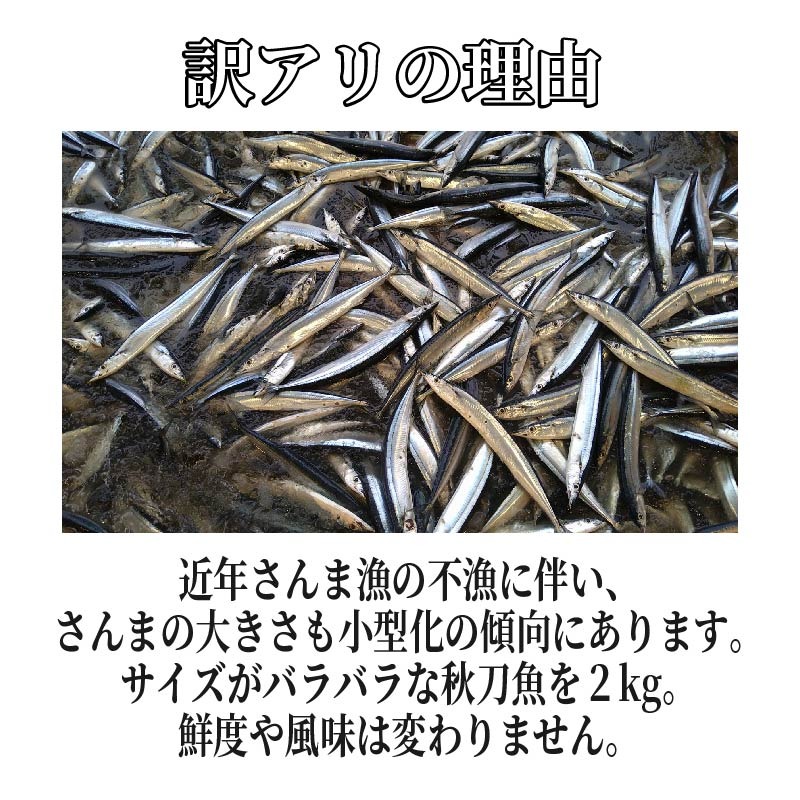 なまさんま 2025年先行予約】訳あり 鮮さんま 約2kg 冷蔵 さんま サンマ