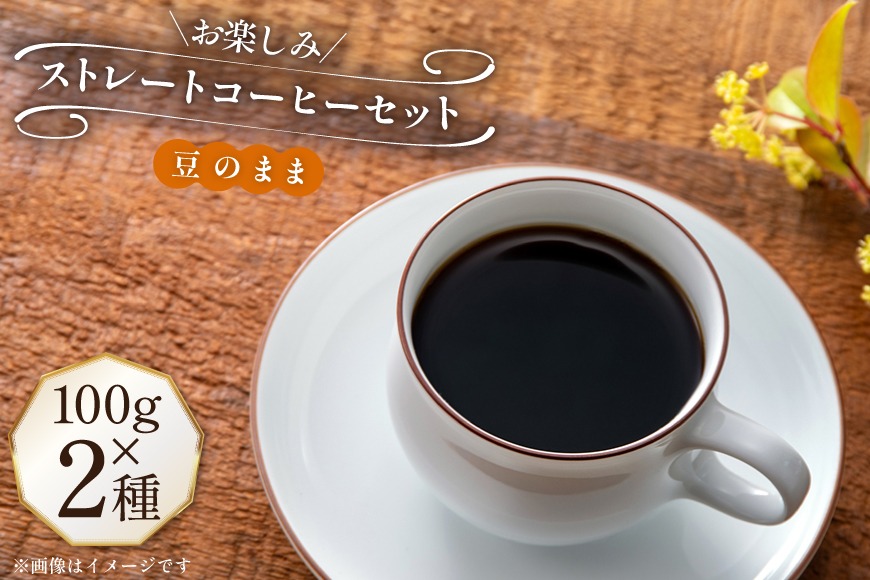 コーヒー豆 100g 2種 (豆のまま) 飲み比べセット [自家焙煎珈琲ぴち