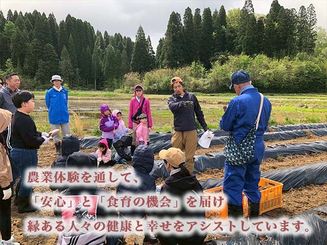 射水の美味しいお米】【自然栽培農法】自然栽培農家 marufarm 自然栽培