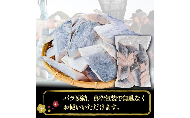 さわら切り身 1kg 真空パック入 魚貝類 加工食品 冷凍 焼くだけ 簡単
