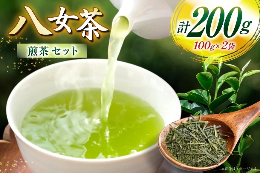 お茶 八女茶 煎茶 100g×2 セット [木村食品 福岡県 宇美町