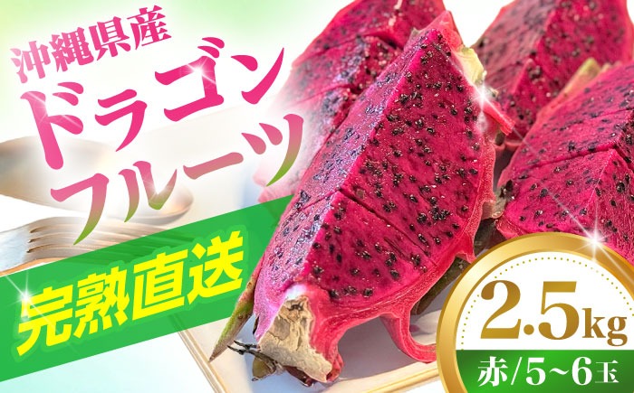 農家直送！南国の果物 ドラゴンフルーツ 2.5kg 火龍果 果物