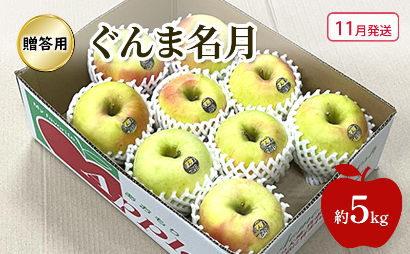 青森県産 ＂ ぐんま名月 ＂りんご 加工用 20kg 産地直送 リンゴ 林檎 