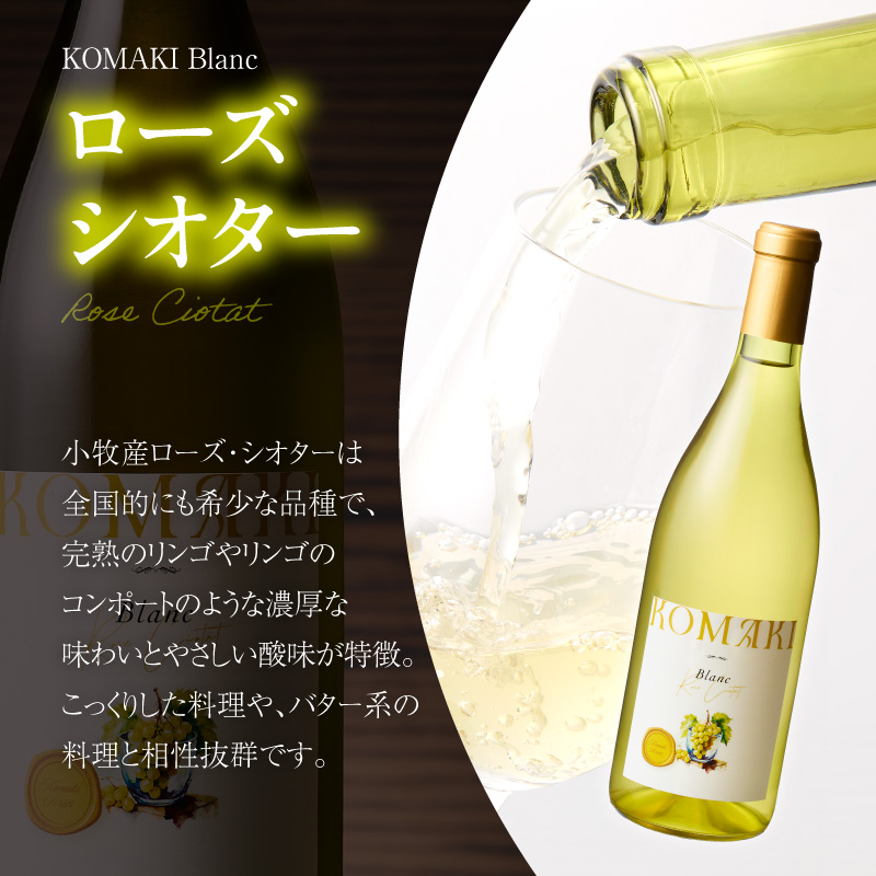 小牧ワイナリー 赤・白ワイン2本セット（小牧産ぶどう100％使用