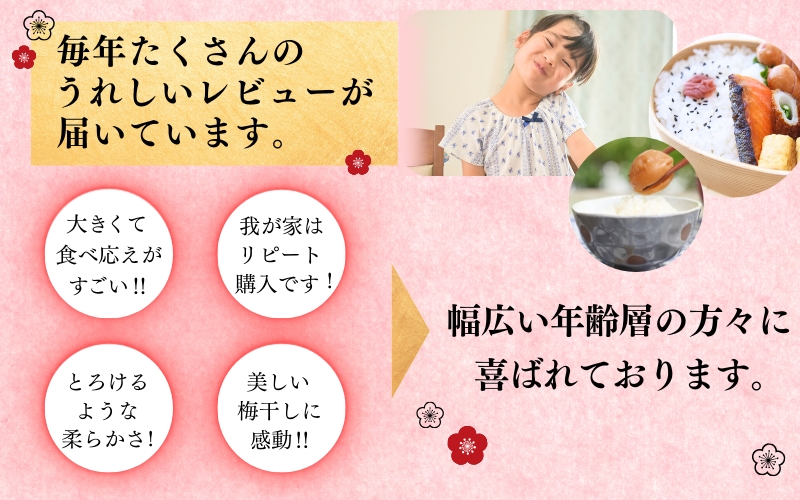 最高級 紀州南高梅 大粒 はちみつ梅干し 1kg【ご家庭用】 / 梅 梅干