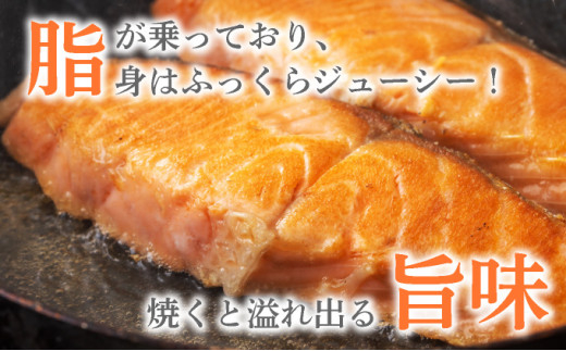 内容量が選べる】訳あり 厚切り 銀鮭 切り身 一汐シャケ 500g～5kg
