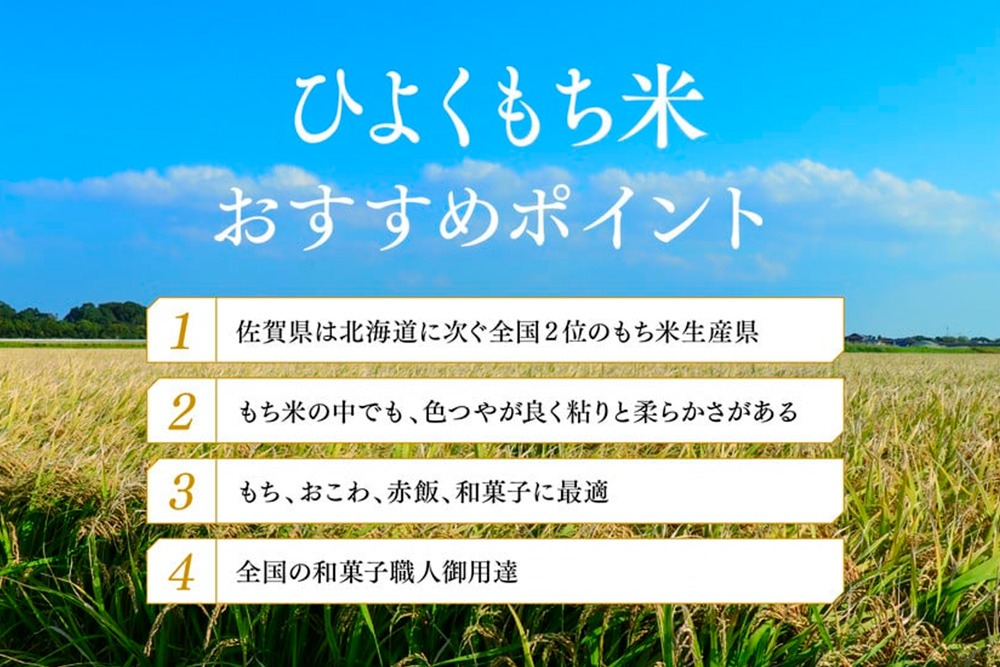 令和7年産 佐賀県産ひよくもち米10kg 【もち米 餅米 ヒヨクモチ 10kg